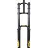 Fourche DH 38 RACE FORK   Air TTX18 180 mm