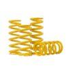 Spring 36/80 N/mm (457 lb/in)/76 mm